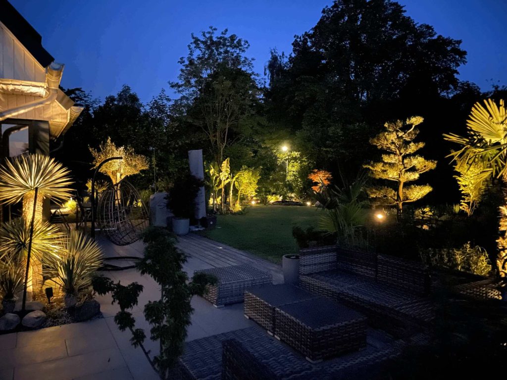 Garten mit Palmen bei Nacht
