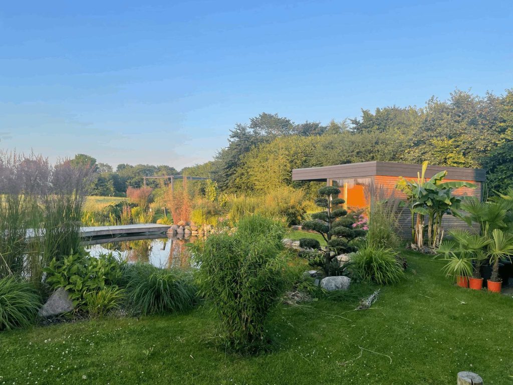 Garten mit vielen verschiedenen Pflanzen