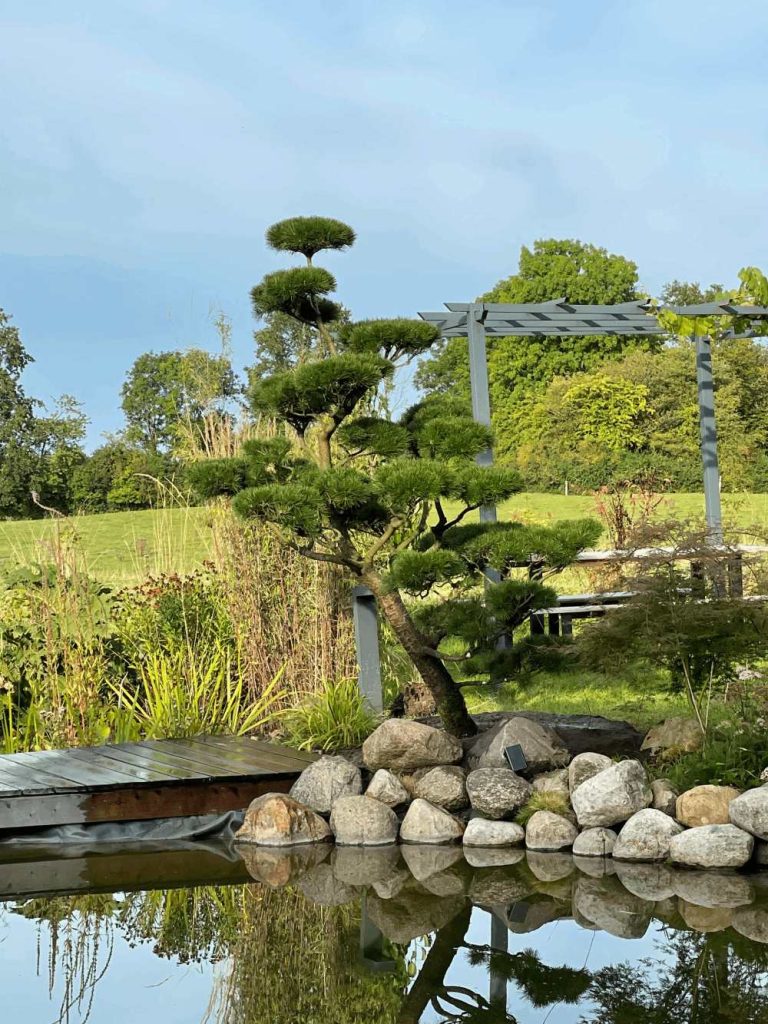 Garten mit Palmen und Teich