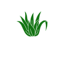 NordPalmen